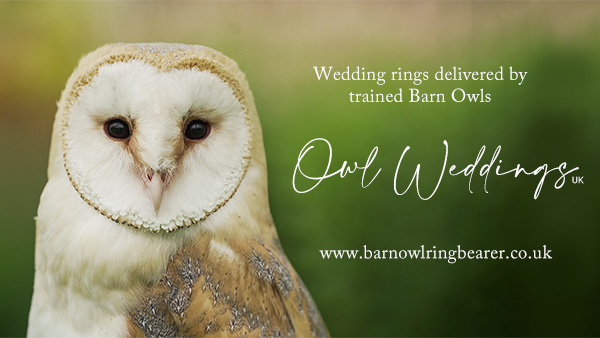 Owl Weddings - Ring bearer by Owl